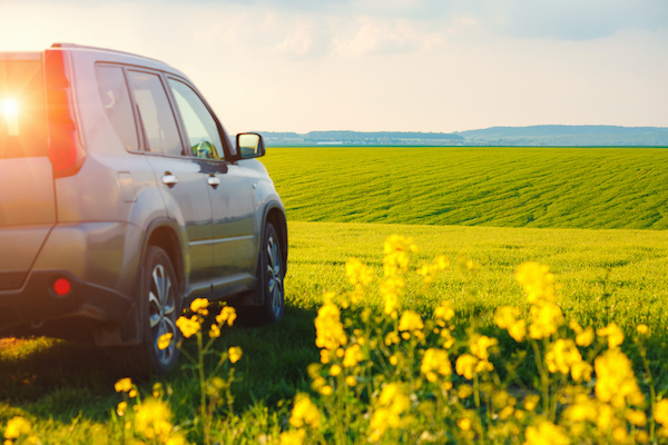 5 Car Care Tips for Spring