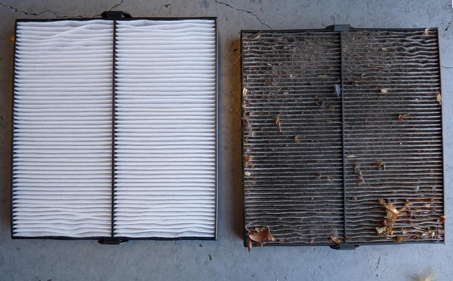 Cabin and Air Filters