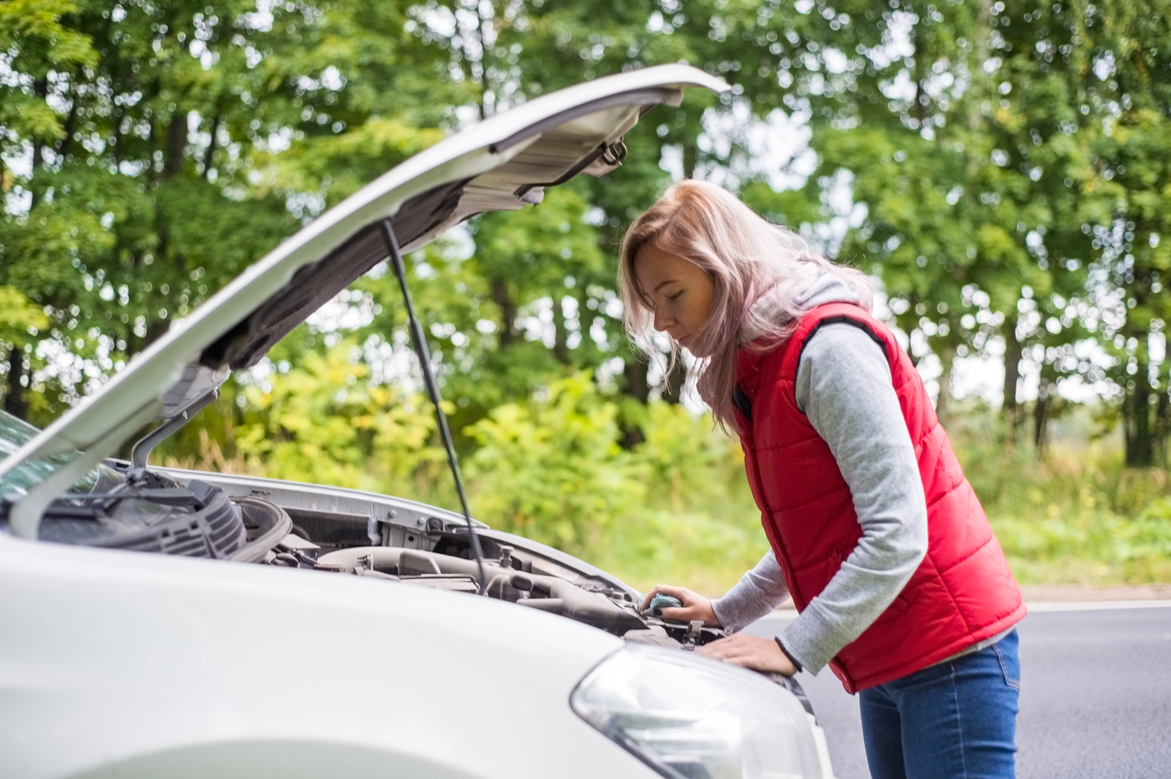 Alternator or Battery could need to be replaced